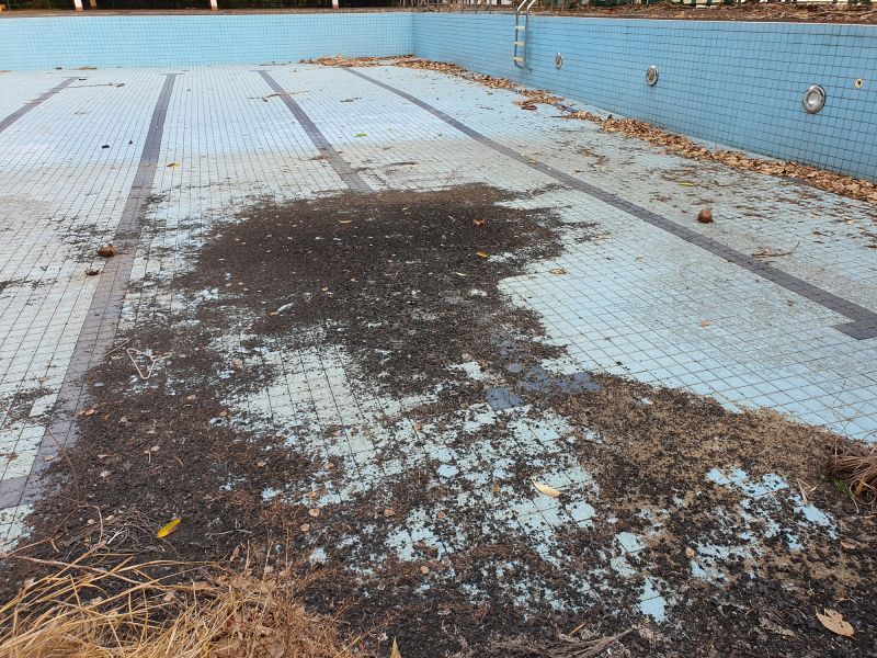 Pool Removal